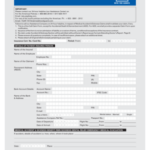 8 Sample Travel Medical Forms To Download Editable Fillable