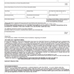 Anz Business One Visa Credit Card Application Form