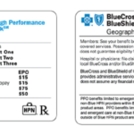 Bcbs Of Florida Letter Medical Necessity Form Webcas