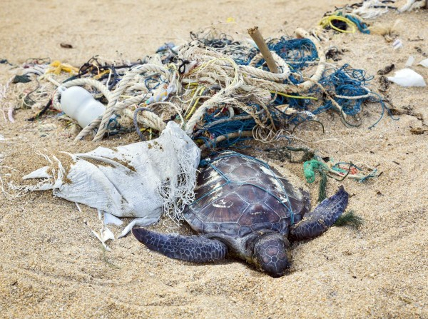 Cayman Eco Beyond Cayman Climate Change Will Transform Cooling 