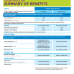 Cigna Healthspring Prior Authorization Form Outpatient To Download In