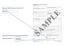 CMS 1500 Claim Form And UB 04 Form Instruction And Guide Billing NPI 