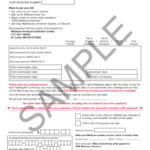 Cms 500 Medicare Payment Form Fill Online Printable Fillable Blank