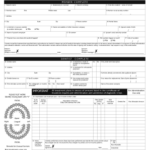 Editable Dental Predetermination Form Templates To Complete Online