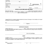 Fillable Notice Of Non Compliance And Order Printable Pdf Download