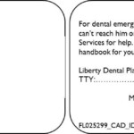 Florida Medicaid Liberty Dental Plan