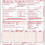 Guide To CMS 1500 Forms For Nutritionists Healthie