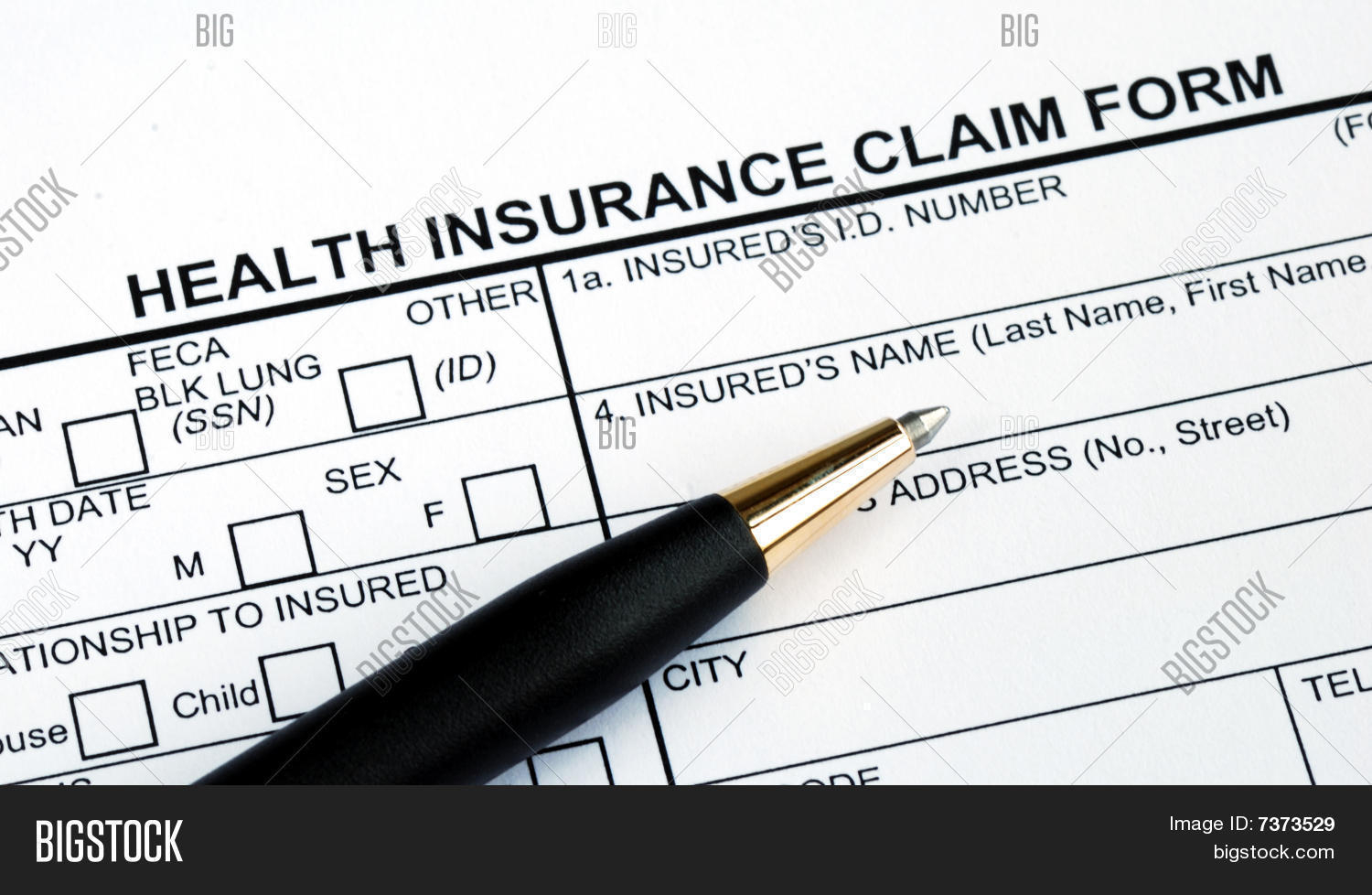 Health Insurance Claim Form Insurance