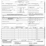 Insurance Claim Form 1500