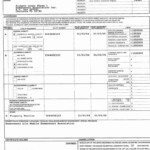 Insurance Declaration Form