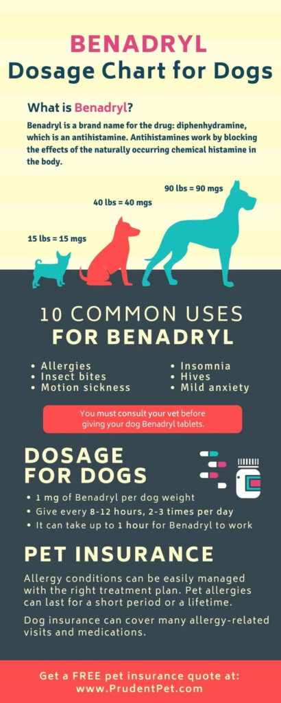Is Benadryl Safe For Dogs Prudent Pet Insurance In 2021 Benadryl 