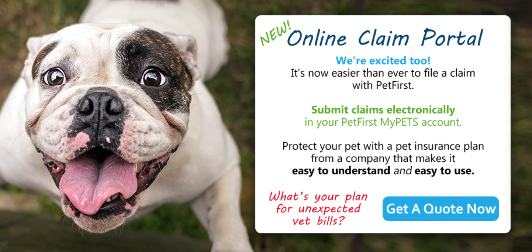 Pets Best Insurance Claim SPETW