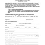 Printable Affidavit Of Loss Driver S License Pdf Edit Fill Out