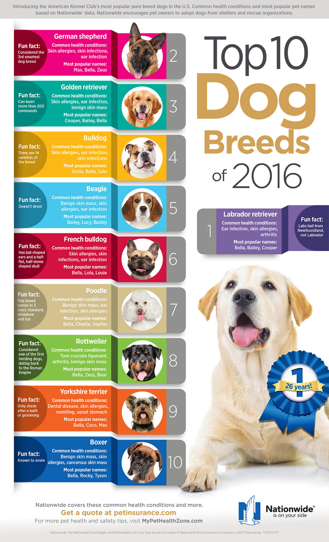 Top 10 Dog Breeds Infographic Pet Health Insurance Tips