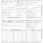 19 Printable Blue Cross Blue Shield Claim Form New York