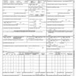 2003 2018 Form NY PHY 0738 Fill Online Printable Fillable Blank