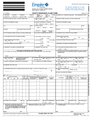 2003 2018 Form NY PHY 0738 Fill Online Printable Fillable Blank 