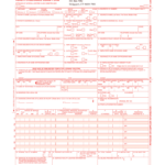 Cms Claim Form Fill Out And Sign Printable PDF Template SignNow