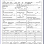 Cms Insurance CMS 1500 HCFA 1500 Insurance Claim Forms Cms