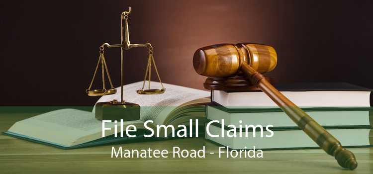 File Small Claims Manatee Road File Small Claims Online Manatee Road