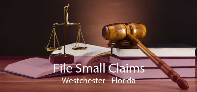 File Small Claims Westchester File Small Claims Online Westchester