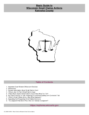 Fillable Online Basic Guide To Wisconsin Small Claims Actions Kenosha