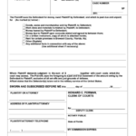 Fillable Statement Of Claim Florida Printable Pdf Download