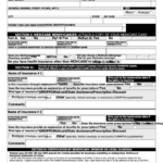 Fillable Va Form 10 7959c Champva Other Health Insurance Ohi