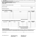 Flexible Spending Account Claim Form Health Economics Group Printable