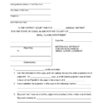 Form CAO SC10 2 Download Fillable PDF Or Fill Online Motion And