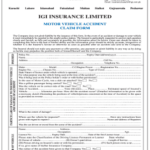 Igi Claim Form Fill Online Printable Fillable Blank PdfFiller