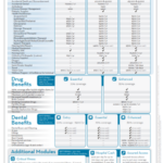 Medavie Blue Cross Elements Dezyne Benefits Dezyne Benefits