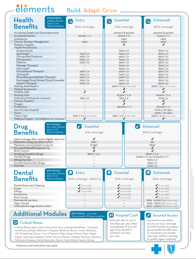 Medavie Blue Cross Elements Dezyne Benefits Dezyne Benefits