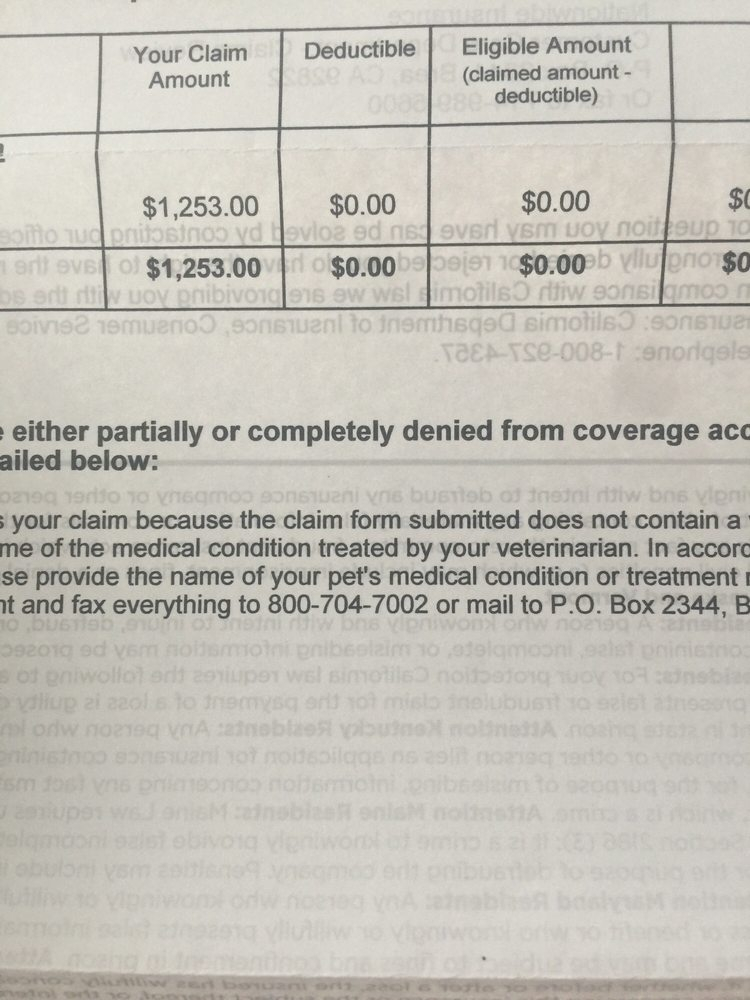 Nationwide Pet Insurance 11 Photos 413 Reviews Pet Insurance