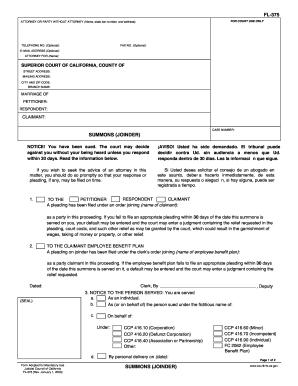 Orange County Florida Civil Summons Fillable Form Document