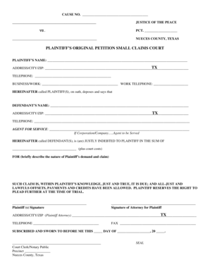 PLAINTIFFS ORIGINAL PETITION SMALL CLAIMS COURT Co Nueces Tx Fill 
