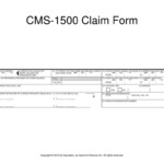 PPT Chapter 21 The Health Insurance Claim Form PowerPoint