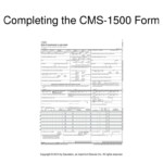 PPT Chapter 21 The Health Insurance Claim Form PowerPoint