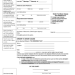 Racine County Family Court Forms Fill Online Printable Fillable