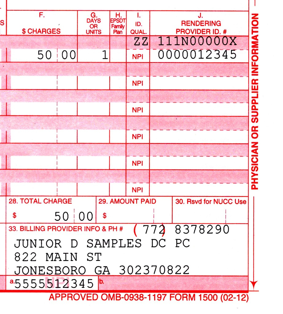 Tax ID NPI UPIN PTAN Provider And Taxonomy Numbers Chiropractic 