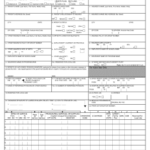 20 Printable Bcbs Claim Form Illinois Templates Fillable Samples In