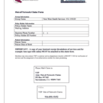 20 Printable Example Of Itemized Receipt Forms And Templates Fillable