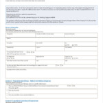 Aig Claim Form Pdf