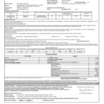 Aig Travel Insurance Application Form