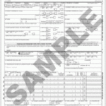 AMA Store CMS 1500 Continuous 1 Part Without Bar Code 1 000 Sheet