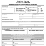 American Express Travel Insurance Claim Review