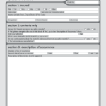 Ami Forms Fill And Sign Printable Template Online