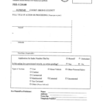 Application For Index Number Bronx Fill Out Sign Online DocHub