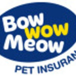 Bow Wow Meow Promo Code Offers Deals March 2021