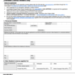 Caa Forms Online Fill And Sign Printable Template Online